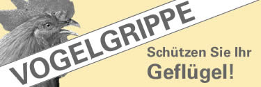 Vogelnest Schaukel